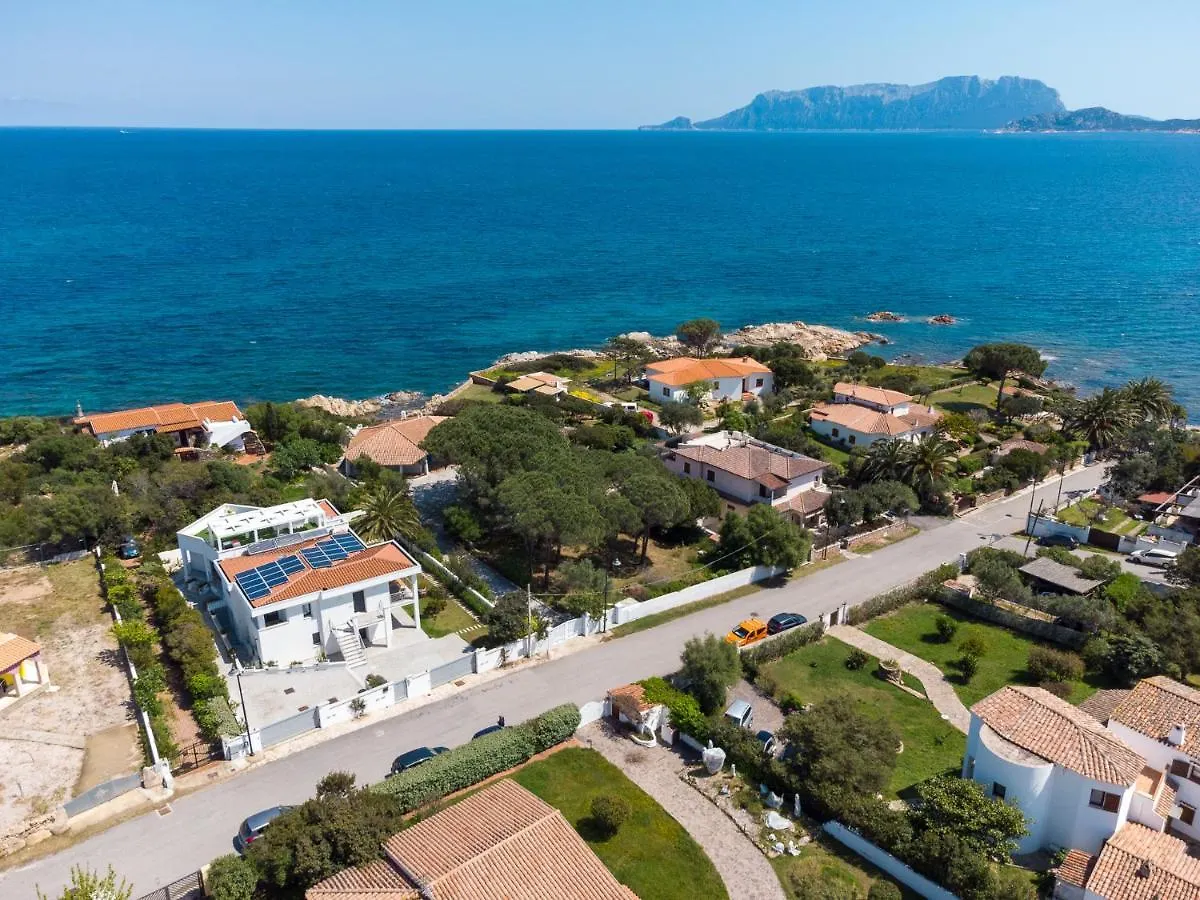 Wlofts 11, 12 & 14 By Klodge Olbia 0*,