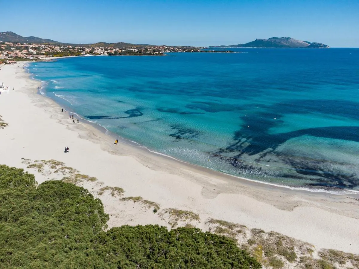 Wlofts 11, 12 & 14 By Klodge Olbia 0*,
